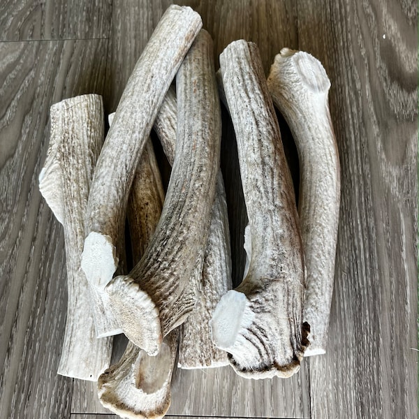Large Antler Dog Chew, Dog Bones, Natural Chew, Dog Treats (1 pc)