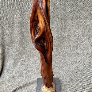 Op de afbeelding: Een handgemaakte houten sculptuur met een natuurlijke, organische vorm. De sculptuur is gemaakt van rijk, donkerbruin hout met ingewikkelde nerfpatronen en een gladde, gepolijste afwerking. Het is gemonteerd op een vierkante metalen basis met een cirkelvormig stenen accent.