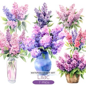 Lilac Clipart, Lilac Flowers, Set of 7, PNG, Instant Digital Download, Watercolor Clipart, Card Making