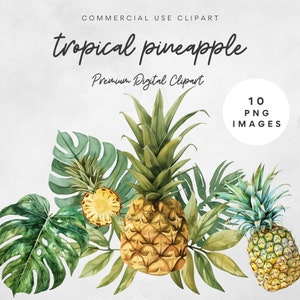 Puede incluir: Ilustración de acuarela de tres piñas con hojas verdes. Las piñas son amarillas y marrones con una superficie texturizada. Las hojas son verdes y tienen un efecto acuarela.