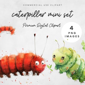 Caterpillar Clipart Cute Fuzzy Caterpillar Mini Clipart Bundle Caterpillar PNG School Picnic Classroom Digital Image Cute Insect Clipart