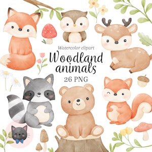 Woodland animals watercolor clipart Forest animals clipart Nursery decor Baby animal png Party supplies Bear, Fox, Deer, Hedgehog, Owl png