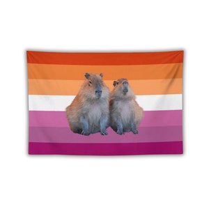 May include: A lesbian pride flag with orange, white, pink and red stripes. Two capybaras are sitting on the white stripe, facing the viewer.