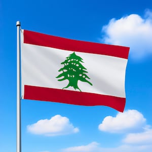 Lebanon National Flag Flag of Lebanon Lebanese Flag Lebanon Country Flag 3x5FT Double Sided Printing Outdoor Decoration Indoor Wall Hanging