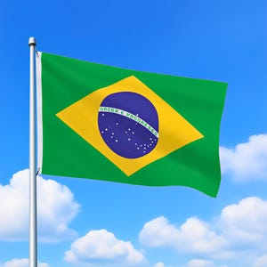 Flag of Brazil Brazil Country Flag Brazil National Flag Brazil Flag Banner 3x5FT Double Sided Printing Outdoor Decoration Indoor Wall art