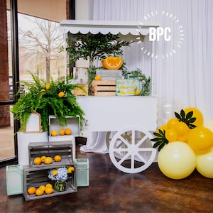 Süßigkeitenwagen, süßer Wagen für Hochzeiten, Geburtstage, Partys, Kuchen und Getränkevitrine