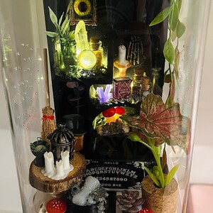 8x5  *MADE2ORDER*  Boho Witch Jumping Spider Enclosuee