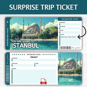 Printable Istanbul Surprise Gift Ticket, Editable Turkey Vacation Boarding Pass, Printable Bosphorus Adventure Pass, Cultural Trip Ticket