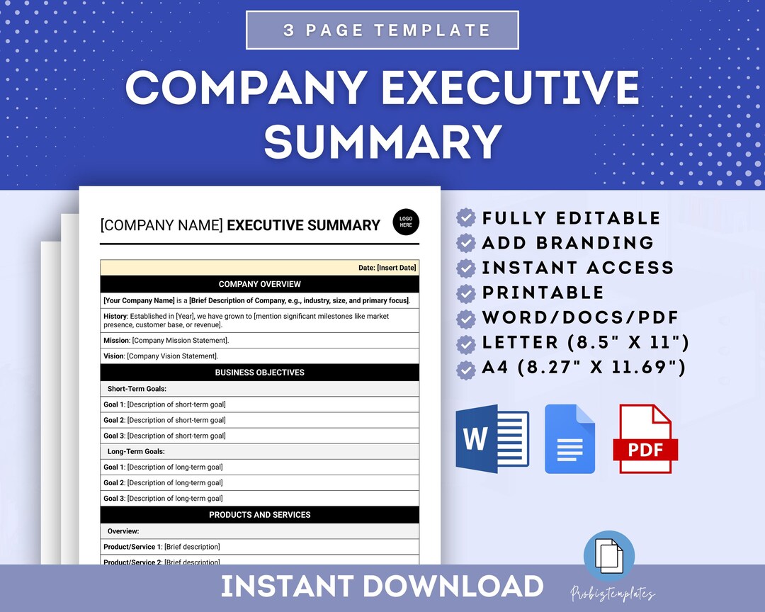 Company Executive Summary Template Business Executive Overview