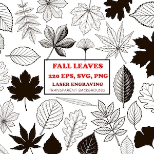 May include: A collection of various botanical leaf illustrations in black and white, featuring both solid silhouettes and detailed line art drawings. Centered text reads: FALL LEAVES, 220 EPS, SVG, PNG, LASER ENGRAVING, TRANSPARENT BACKGROUND.