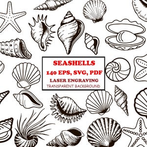 May include: Black and white line art illustrations of various seashells and starfish. The image includes a variety of shell shapes and sizes, with the text "SEASHELLS 140 EPS, SVG, PDF LASER ENGRAVING TRANSPARENT BACKGROUND".