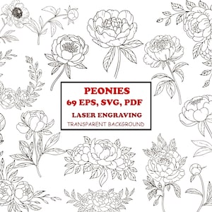 Puede incluir: Dibujos lineales en blanco y negro de peonías en varias etapas de floración, incluyendo capullos y flores completamente abiertas. La imagen presenta múltiples arreglos florales. El texto central dice "PEONIES 69 EPS, SVG, PDF LASER ENGRAVING TRANSPARENT BACKGROUND."