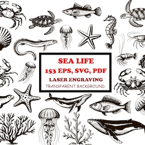 Sea Life SVG-paket för lasergravering, havsdjursvektorpaket, havsclipart EPS, nautiska gravyrfiler, valar, sköldpaddor, maneter