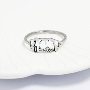 K&ouml;nnte beinhalten: Ein silberfarbener Metallring mit einem ausgeschnittenen Design einer Hundesilhouette, bei dem der Name Winston in Schreibschrift in den unteren Teil des Rings integriert ist, was eine durchgehende dekorative Metallstruktur bildet.