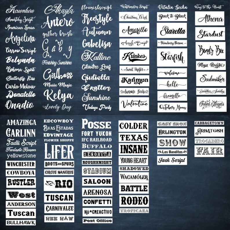 BLD 25 Bloodhound Vinyl Decals Adorable Dog Decor for Laptops, Cars