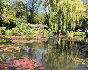 May include: A green rowboat with a person in it on a pond with lily pads and green trees in the background.