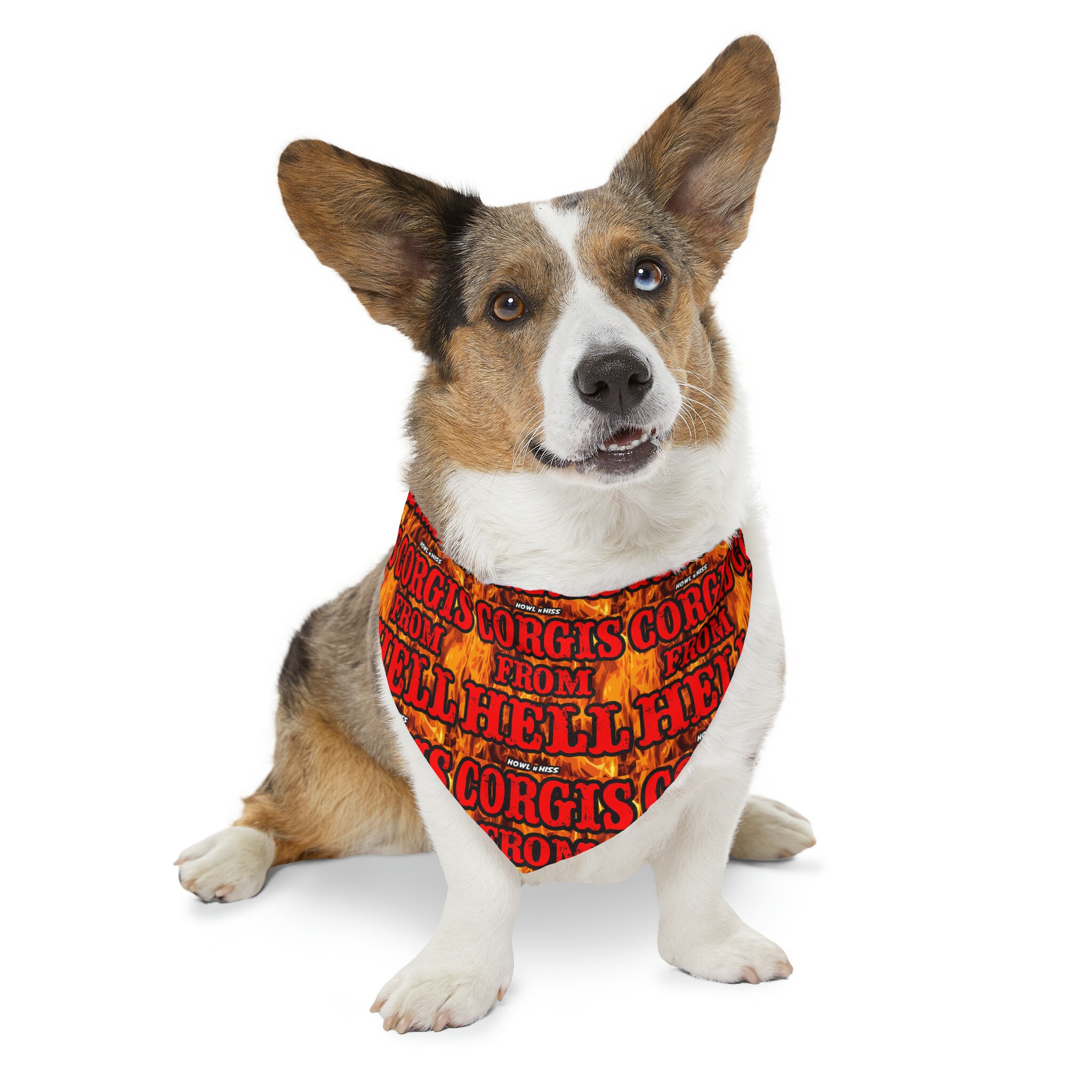 Heavy Metal Dog Etsy UK