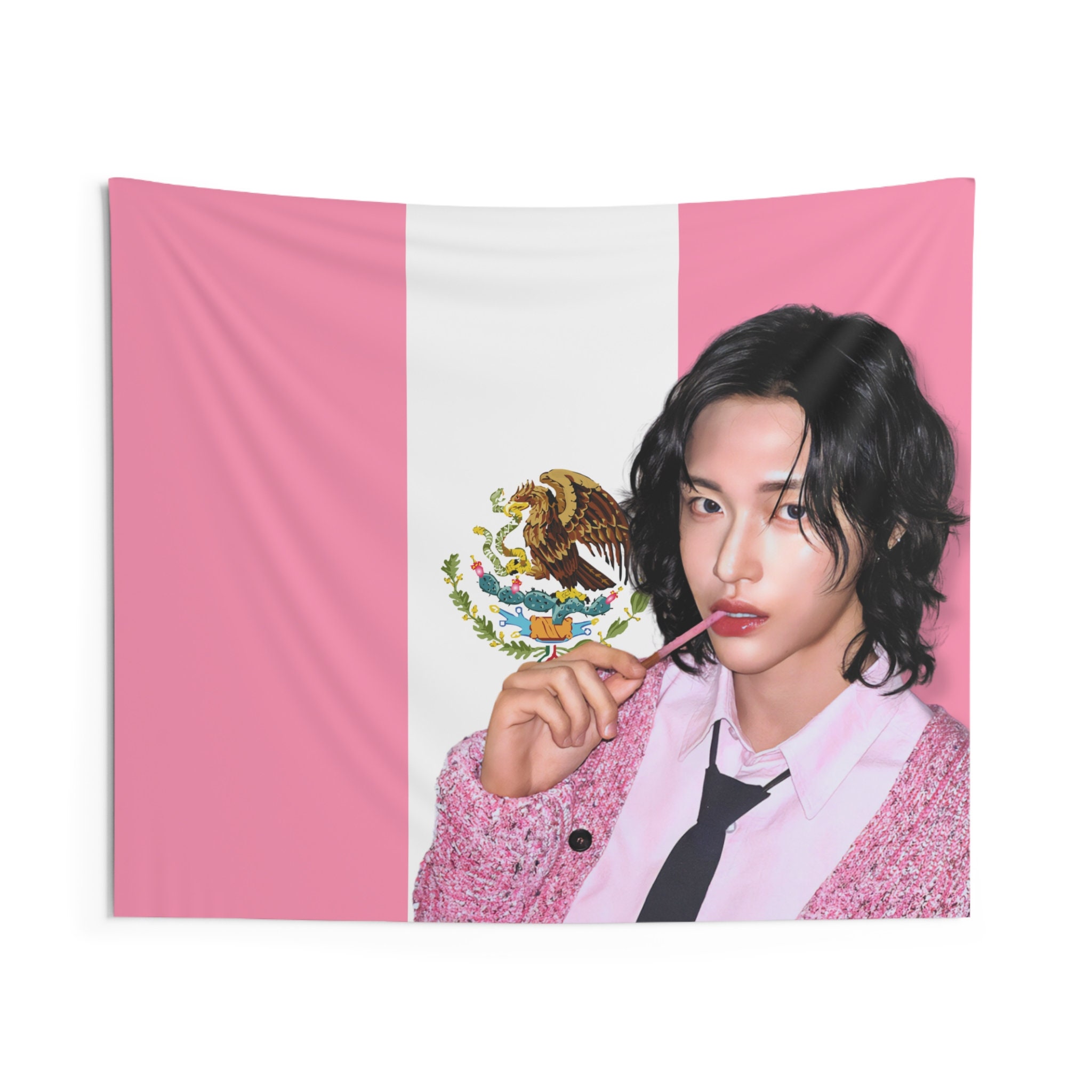 Riize Wonbin Pink Mexico Flag Banner, Riize Members Kpop Flag, 119