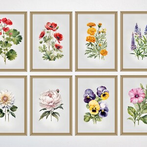 ナチュラルボタニカルポスター、水彩フラワープリント、ギャラリーウォール8枚セット、ボタニカルウォールアート、ボタニカルプリント、フローラルプリント