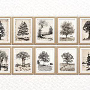 Boceto de árbol, Conjunto de 10, Dibujo de árbol vintage, Arte imprimible, Descarga digital, Póster digital, Arte de pared de galería, Botánico, Dibujo a lápiz