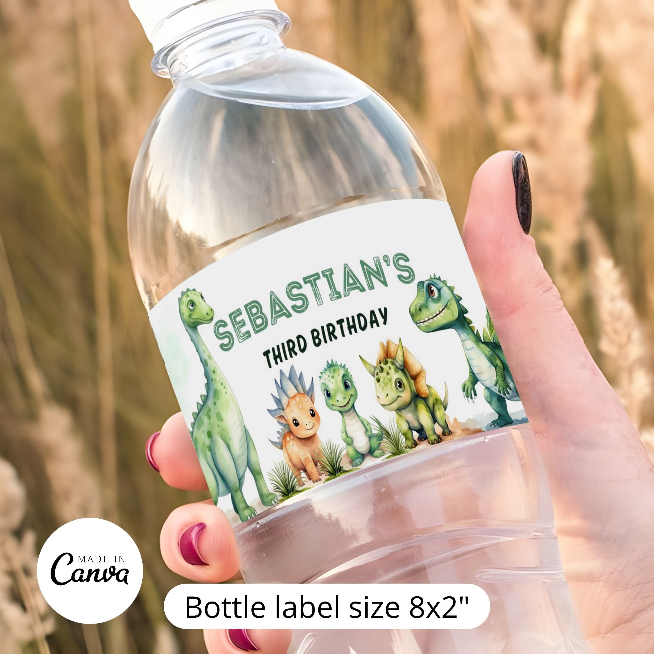 EDITABLE Dinosaur Water Bottle Label Template, Printable Kids Birthday ...