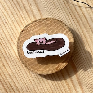 Vinyl Sticker - Schwein „Keep Clean!"
