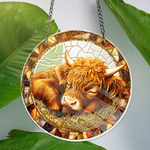 Highland Cow ACRYLIC Window Hanging Decor Cute Hairy Coo Window Art Farm Animal Acrylic Decor Rustic Farmhouse Gift Scottish Cow Lover