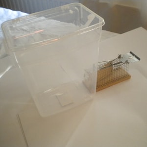 May include: A clear plastic container with a metal and wooden mouse trap next to it.