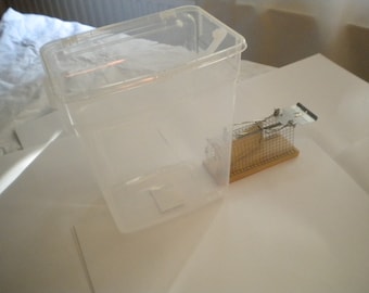 human and mouse friendly mousetrap