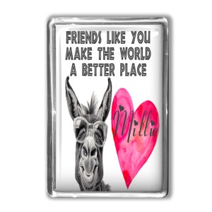 Personalised Friendship Magnet Gift | Donkey gift | Thank you gift | Unique gift | Best Friend gift | Positivity gift
