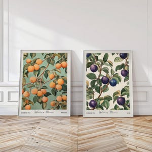Könnte beinhalten: Zwei gerahmte botanische Drucke. Einer zeigt Aprikosenzweige mit orangefarbenen Früchten vor türkisem Hintergrund. Der andere zeigt Pflaumenzweige mit violetten Früchten vor cremefarbenem Hintergrund. Beide haben weiße Rahmen.