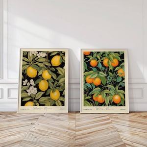 Lemon & Orange Art Print Set – William Morris Botanical Fruit Wall Decor, Vintage Cottage Farmhouse Kitchen Poster