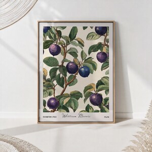 Morris Botanical Art Print - Apricot Plum Fruit Poster - Cottagecore Kitchen & Dining Room Wall Decor