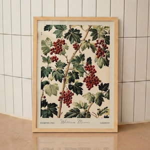William Morris Currants Botanical Print – Vintage Fruit & Leaf Pattern Poster, Cottagecore Kitchen Wall Art