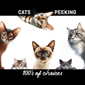 May include: An illustration featuring several cat breeds, each peeking over a black banner. The text "CATS PEEKING" is at the top, and "100's of choices" is at the bottom. The cats have various fur colors and patterns, including tabby, Siamese, and gray.