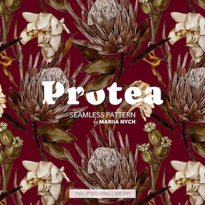 May include: A seamless pattern featuring brown protea flowers and seed pods on a deep burgundy background. The text reads Protea SEAMLESS PATTERN by MARIIA NYCH TIFF (PSD) | PNG | 300 DPI. The design displays botanical illustrations in a repeating layout.