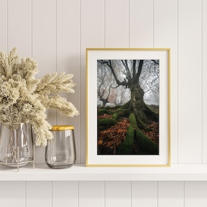 Forest gallery wall forest landscpe set Forest trees Posters dark Forest prints