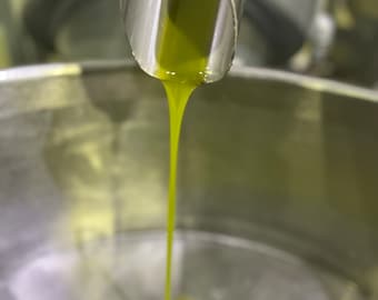 Extra Virgin Olive Oil 2023/2024 - Extra Virgin Olive Oil 2023/2024 - Matera Italy