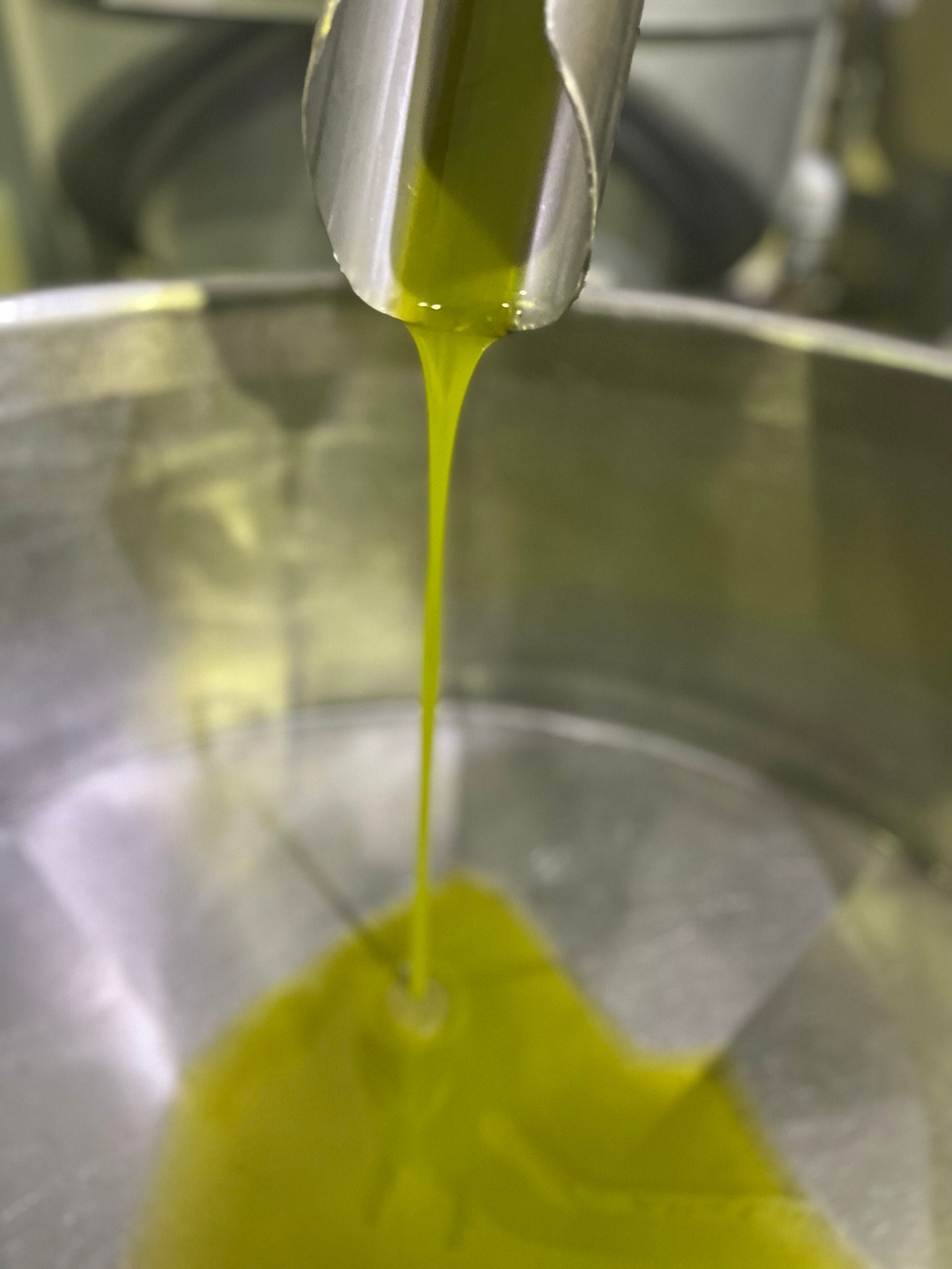 Aceite de Oliva Virgen Extra 2023/2024 - Aceite de Oliva Virgen Extra 2023/2024 - Matera Italia