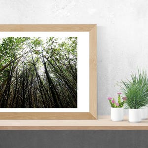 Cartel de la naturaleza. Mural. Cartel del bosque. Decoración de pared. Decoración moderna. Idea de decoración. idea de regalo