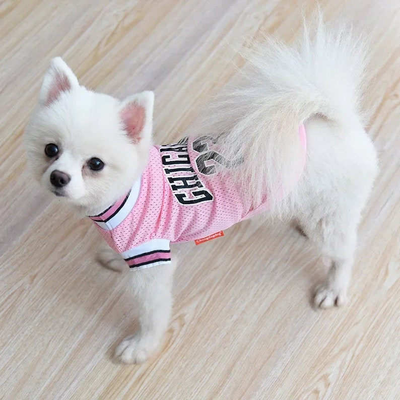 Hund Sommer Kleidung Mesh Atmungsaktive Sport Hund Jersey Basketball Kleidung Welpen T-Shirt Sommer Haustier Katze Shirts Für Hunde Bild 3
