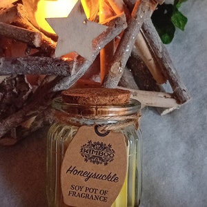 Peut inclure: Un bocal en verre transparent avec un couvercle en liège rempli d'une bougie en soja jaune. Le bocal porte une étiquette en papier brun sur laquelle est inscrit "Honey Suckle Soy Pot of Fragrance" et une étiquette plus petite sur laquelle est inscrit "4W Bamboo". Le bocal est posé sur un lit de brindilles et une étoile en bois.
