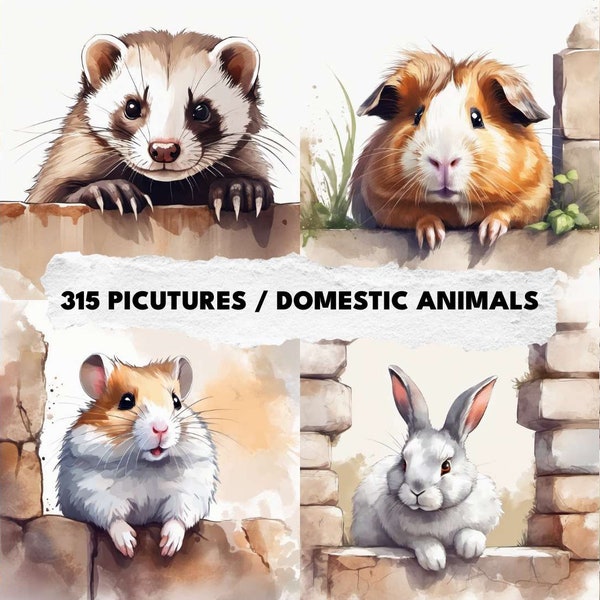 Conjunto de animales domésticos - 315 JPG de alta calidad - Descarga digital para la fabricación de tarjetas, medios mixtos y artesanías.