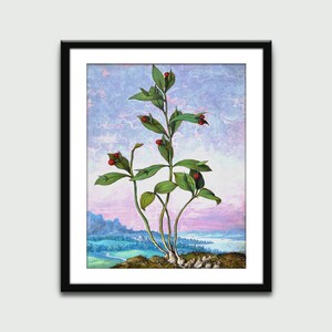 A Plant with Red Berries, Vintage Painting, Floral Art, Wall Art Print, Wall Decor, Home Decor, Digital Download, Printable Art