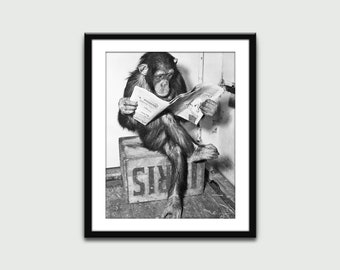 Chimpanzee Reading Newspaper Photo, Vintage Print, Wall Art Print, Wall Decor, Home Decor, Digital Download, Printable Art