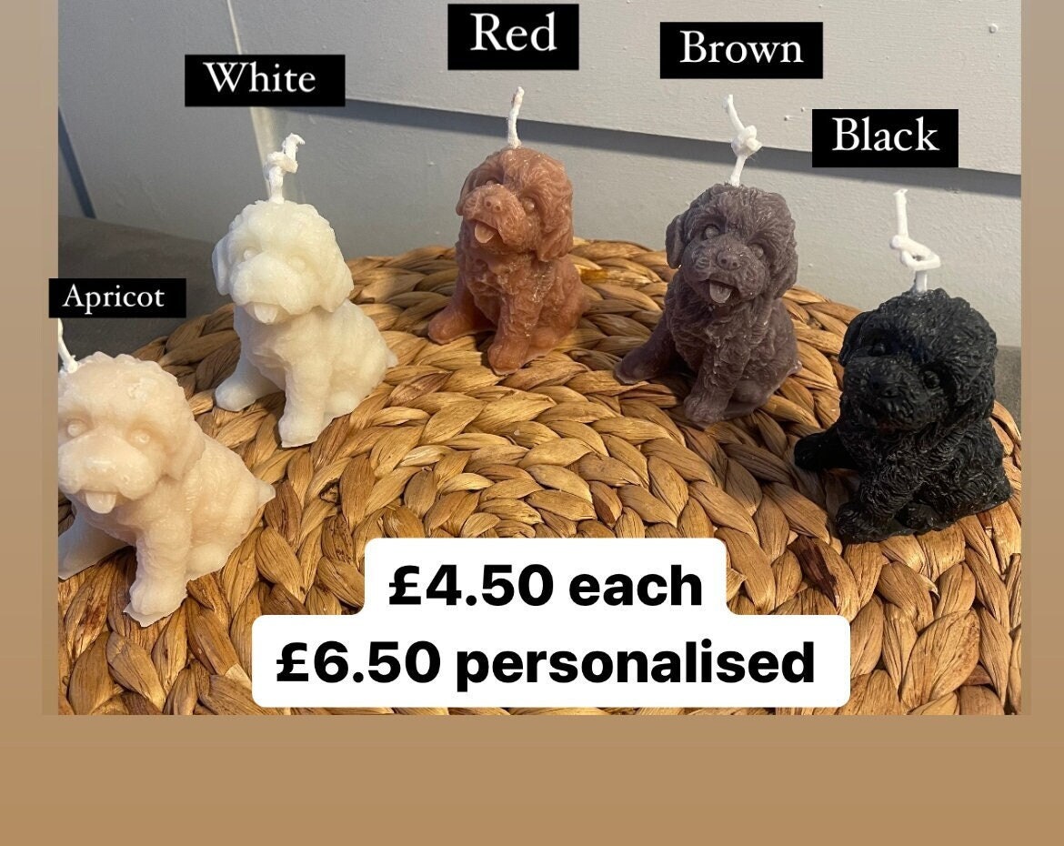 Fondant cockapoo 2025
