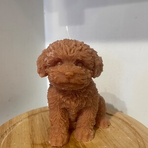 K&ouml;nnte beinhalten: Eine braune Kerze in Form eines Pudelhundes, der sitzt. Die Kerze hat ein strukturiertes, flauschiges Aussehen, mit einem wei&szlig;en Docht, der aus der Oberseite herausragt. Die Kerze steht auf einer Holzoberfl&auml;che.