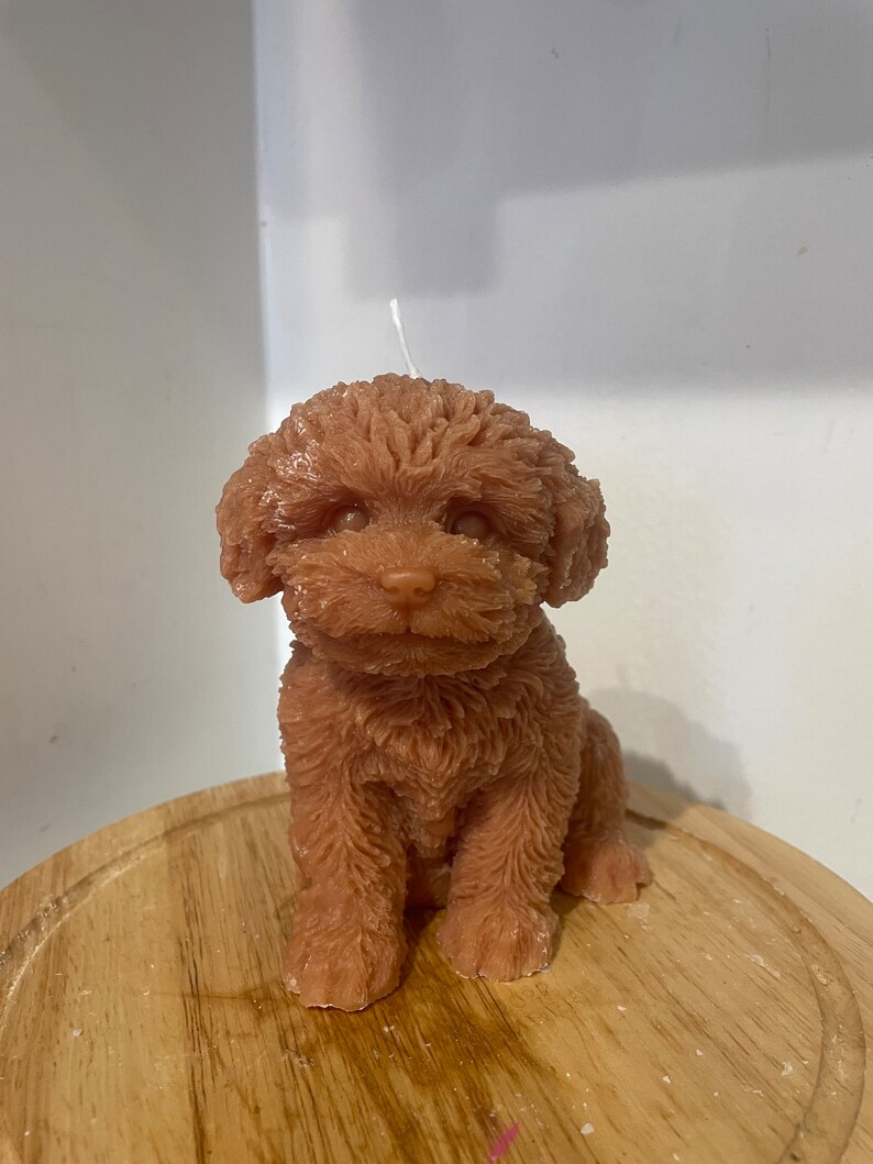 K&ouml;nnte beinhalten: Eine braune Kerze in Form eines Pudelhundes, der sitzt. Die Kerze hat ein strukturiertes, flauschiges Aussehen, mit einem wei&szlig;en Docht, der aus der Oberseite herausragt. Die Kerze steht auf einer Holzoberfl&auml;che.