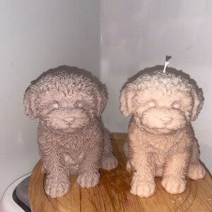 K&ouml;nnte beinhalten: Zwei hundef&ouml;rmige Kerzen. Eine ist in einem ged&auml;mpften Malvenfarbton gehalten, die andere ist hellbeige. Beide Kerzen haben ein strukturiertes, lockiges Fell und sitzen aufrecht. Die Kerzen stehen auf einer Holzoberfl&auml;che.