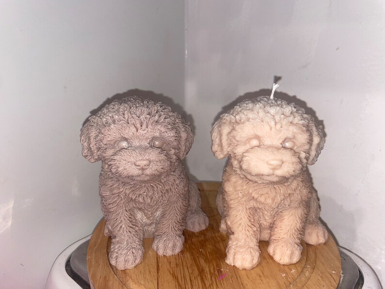 K&ouml;nnte beinhalten: Zwei hundef&ouml;rmige Kerzen. Eine ist in einem ged&auml;mpften Malvenfarbton gehalten, die andere ist hellbeige. Beide Kerzen haben ein strukturiertes, lockiges Fell und sitzen aufrecht. Die Kerzen stehen auf einer Holzoberfl&auml;che.